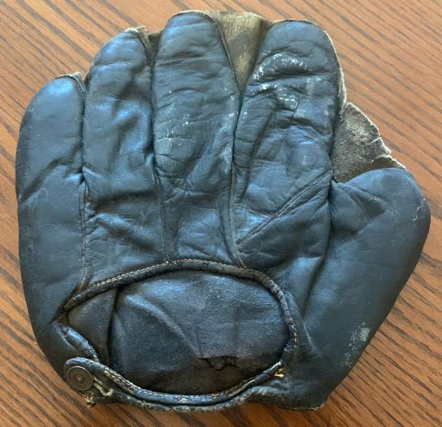 Duck Web Glove Back